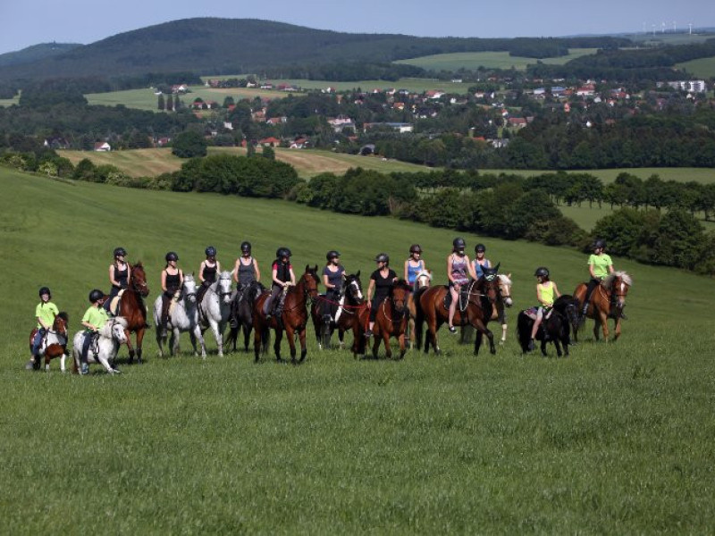 course-details