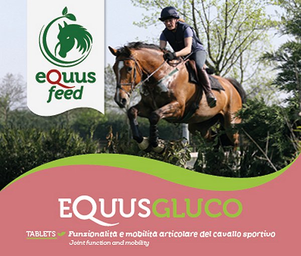 project